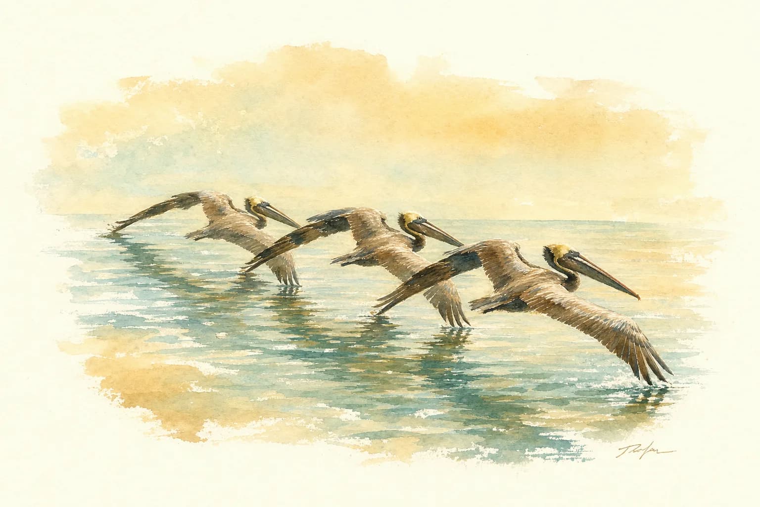 Watercolor of three pelicans gliding low over glassy gulf water